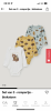 12B98780-4F0F-4D68-9CBB-08A97A7632C6.png