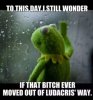 of-ludacris-way.jpeg.jpg