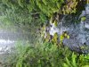 20220818_105821.jpg