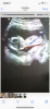 BE838768-5A83-48AD-A596-1B8E49DDE2CA.png