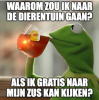 upload_2022-9-4_13-20-3.png