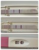 AC148349-A92A-47EE-BC0C-C23B584A5875.jpeg