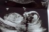 7193B634-191B-45D5-B99E-2ED56754BADE.jpeg
