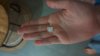 IMG-20220906-WA0045.jpeg