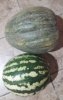 20220907_110156.jpg