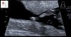 50206AF1-3D2F-47FE-87AF-4B32F22F872C.jpeg