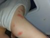 20220913_083755.jpg