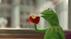 upload_2022-9-13_11-34-33.gif