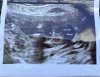 375E518C-D4FC-49E2-A90B-A6E5024815E4.jpeg