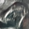 7D01F5C3-FF7E-4536-AAC8-8DAEE6A9684D.jpeg