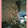 PhotoGrid_1664737513052.jpg