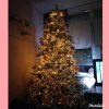 PhotoGrid_1664737579116.jpg