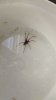 IMG-20220916-WA0001.jpg