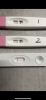 2A31932D-4F77-47A4-BEBD-ADA36CFDA768.png