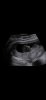 Screenshot_20221021-173404_WhatsApp.jpg