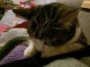 IMG20221023195303.jpg