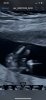 3B97C9B9-B7AB-4189-B36C-EF14C1A417C0.jpeg