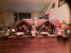 20211120_204705.jpg