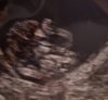 IMG-20221108-WA0039.jpeg