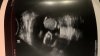 64E13D3A-5786-49EE-852D-61EF0AF9E76D.jpeg
