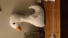 IMG-20221120-WA0023.jpeg