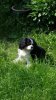 20130531_162655.jpg