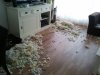 2011-05-17 11.27.02.jpg