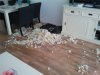 2011-05-17 11.26.50.jpg