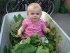 DSC05112.jpg