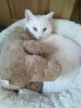 kater1.jpg