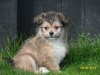 $(KGrHqN,!pEFG-q(qf3jBR2PIqF9I!~~60_84.jpg