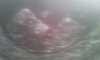 20130713_080055.jpg