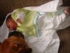 img1326476624.jpg