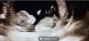 Screenshot_20221124-182847_Gallery.jpg