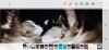 Screenshot_20221124-182834_Gallery.jpg
