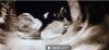 Screenshot_20221124-182805_Gallery.jpg