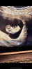 EEF95033-92E4-4245-95AC-D95A38C970F4.png