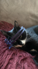 upload_2022-11-26_22-27-1.png
