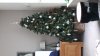 IMG-20221106-WA0000.jpeg