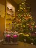 Kerstboom.jpg