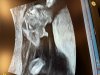 E638AD64-B609-48FF-87FF-9D5826A96950.jpeg