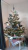 IMG-20221207-WA0002.jpeg