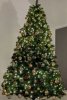 PXL_20211207_195936145.MP~2.jpg