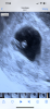 59602BAE-B649-436B-9C43-D63289ACFB6A.png