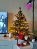 IMG_20221208_110604_Bokeh.jpg