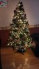 IMG-20221210-WA0002.jpeg