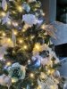 IMG_20221211_123503.jpg