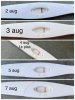 796AB8CD-875B-4BCB-941C-7D2C0D5F1045.jpeg