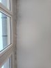 IMG_20221216_112654.jpg