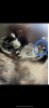 35717909-8D45-4FDD-A277-8EE944E63985.png